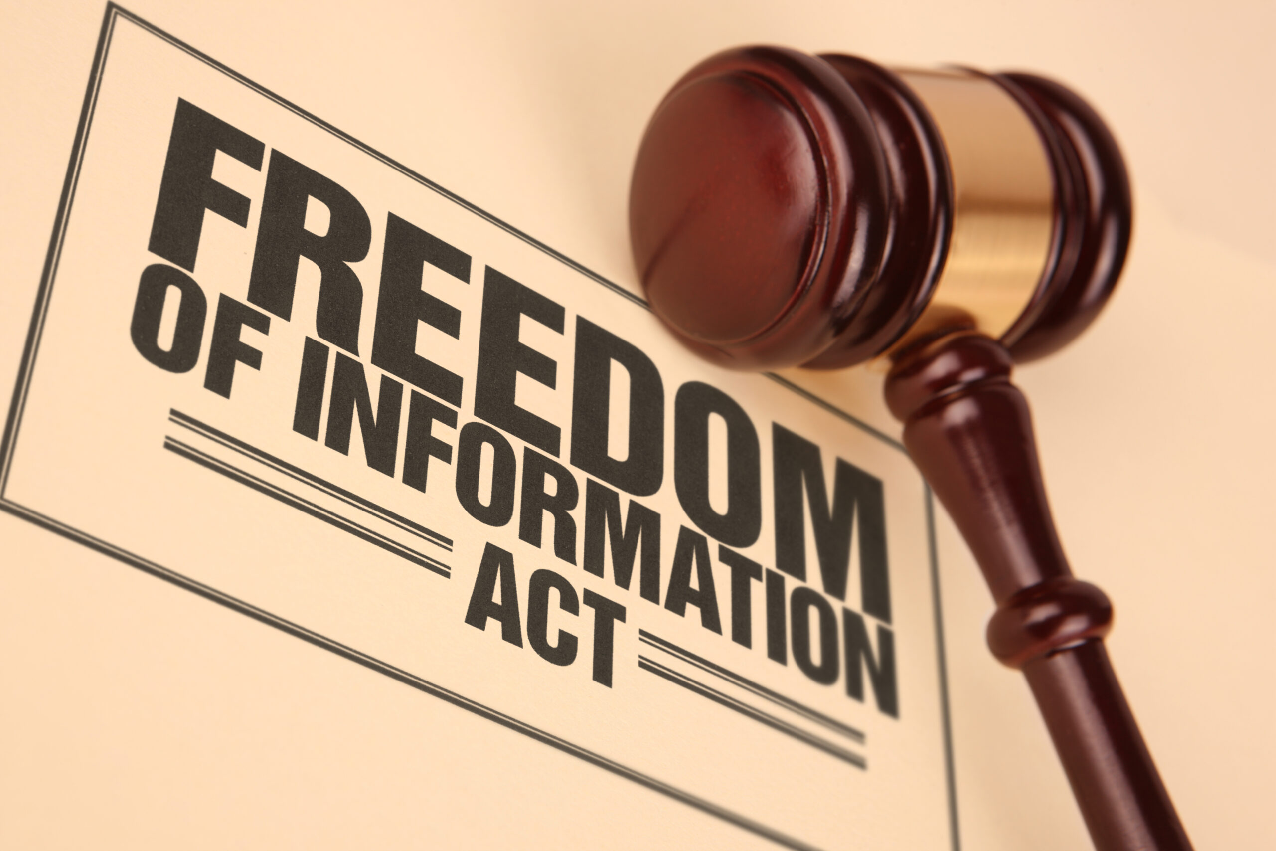 Freedom of Information act sign with a judge's hammer positioned on the graphic.