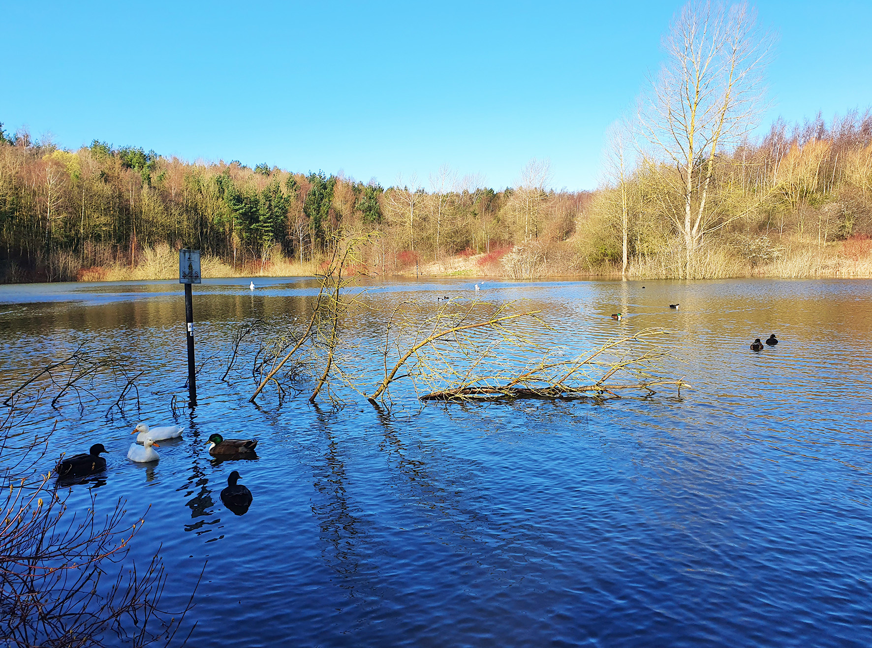 photograph of a lake