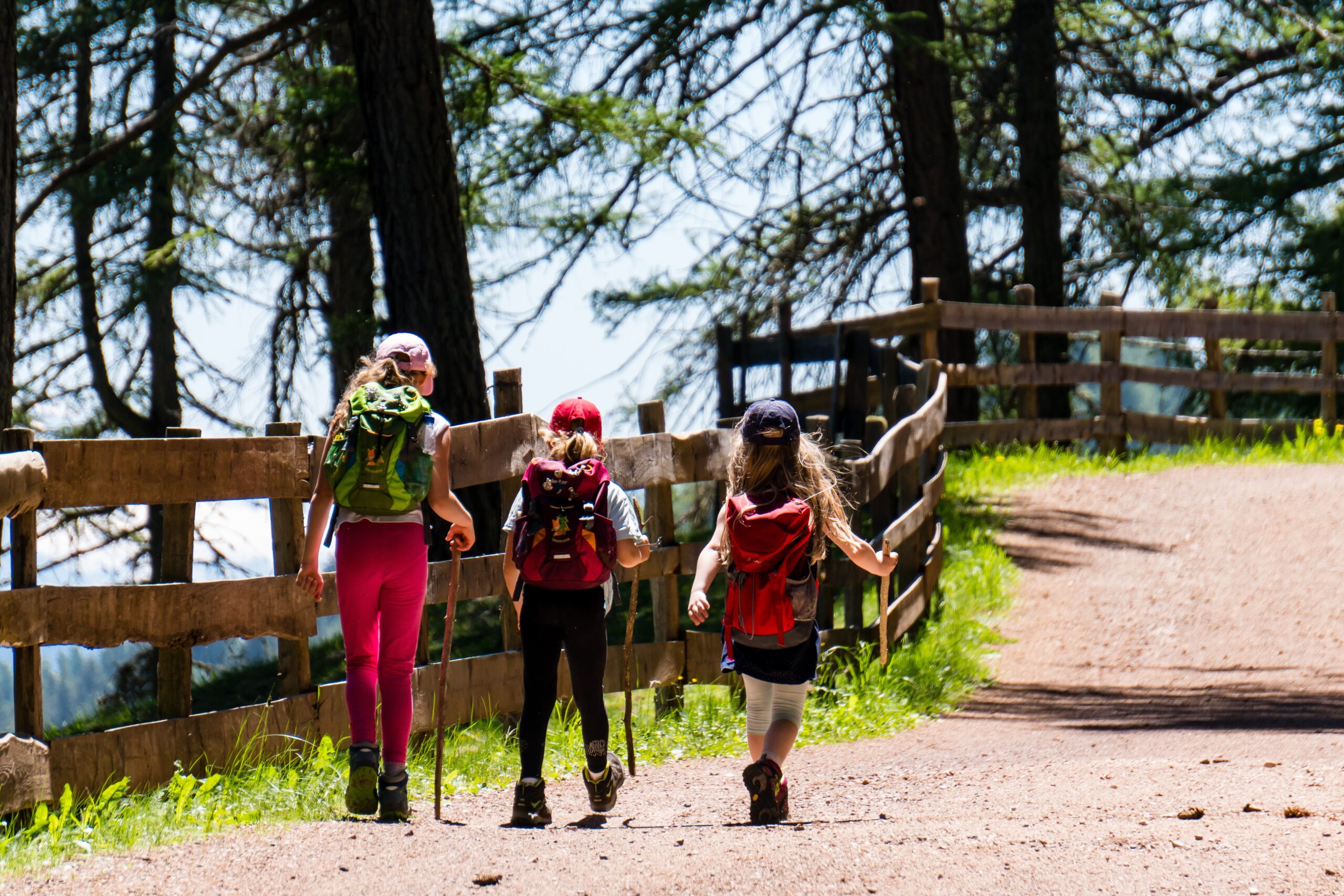 Three young people hiking in the wilderness on a bright, sunny day.